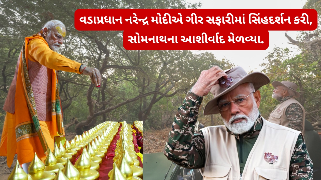 વડાપ્રધાન નરેન્દ્ર મોદીએ સોમનાથ મહાદેવ દાદા ના દર્શન કરી ગીર સફારીની મઝા માણી.